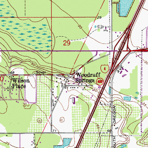 Topographic Map of Woodruff Springs, FL