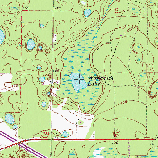 Topographic Map of Workman Lake, FL