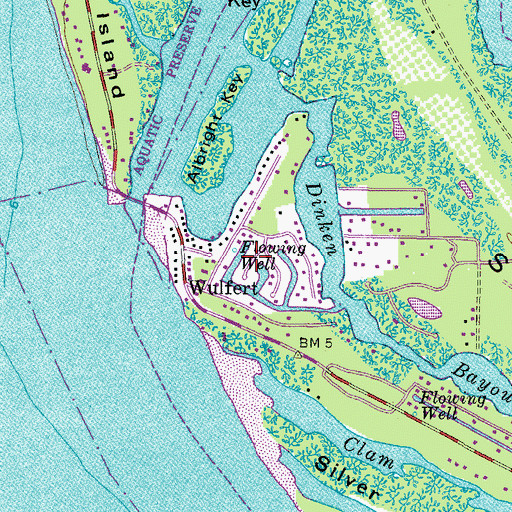 Topographic Map of Wulfert, FL