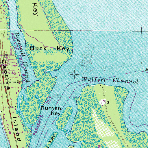 Topographic Map of Wulfert Channel, FL