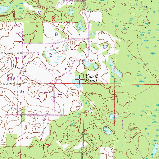 Topographic Map of Yard Pond, FL