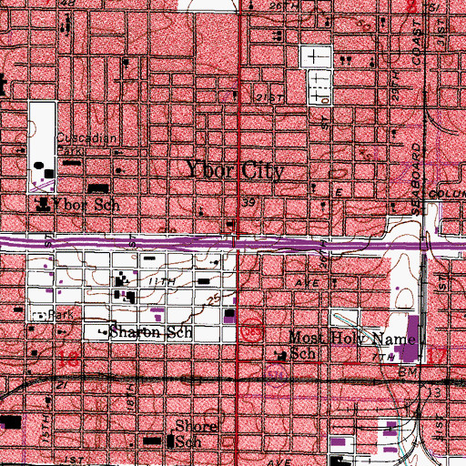Topographic Map of Ybor City, FL