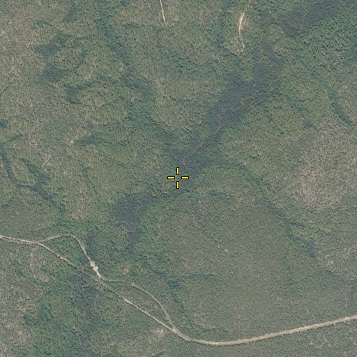 Aerial/Satellite Image of Yellow Root Branch, FL