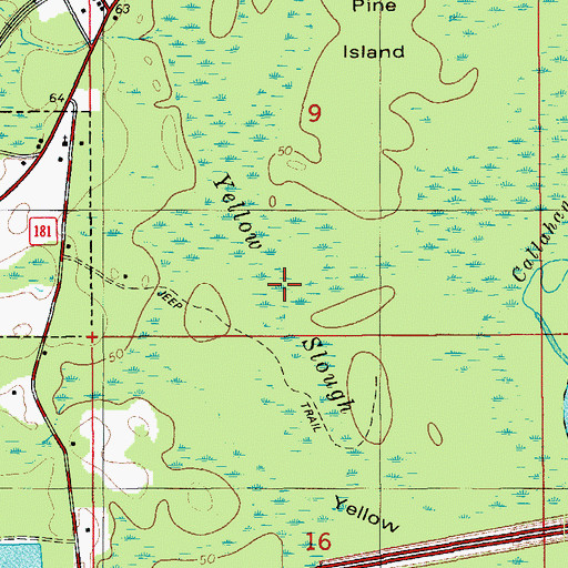 Topographic Map of Yellow Slough, FL