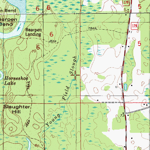 Topographic Map of Young Field Slough, FL