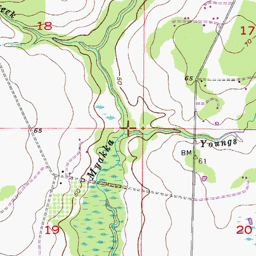 Topographic Map of Youngs Creek, FL