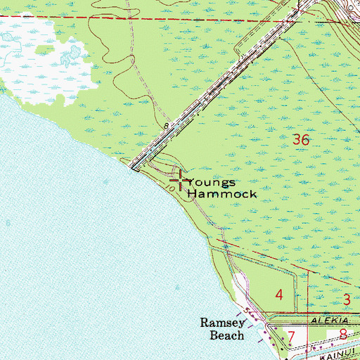 Topographic Map of Youngs Hammock, FL