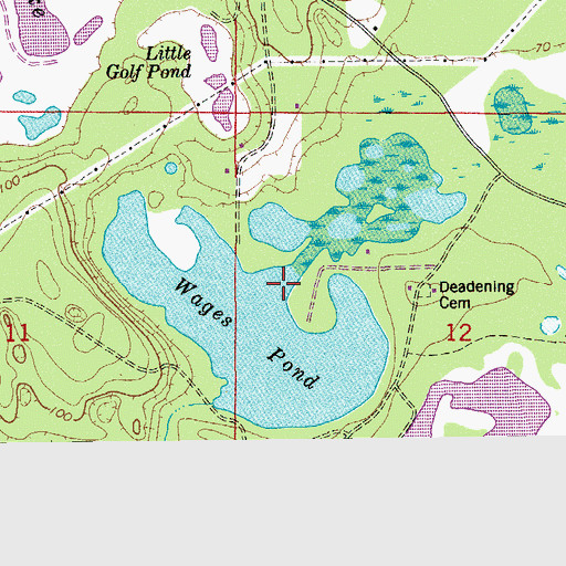 Topographic Map of Wages Pond, FL
