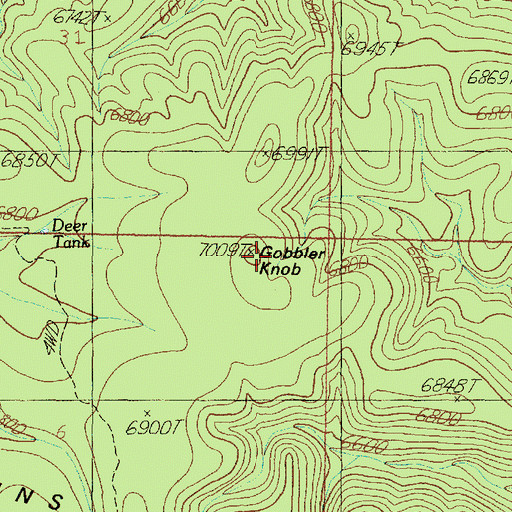 Topographic Map of Gobbler Knob, AZ