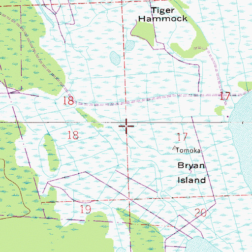 Topographic Map of C W Bulow Grant, FL
