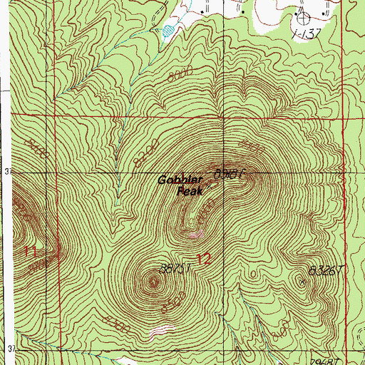 Topographic Map of Gobbler Peak, AZ