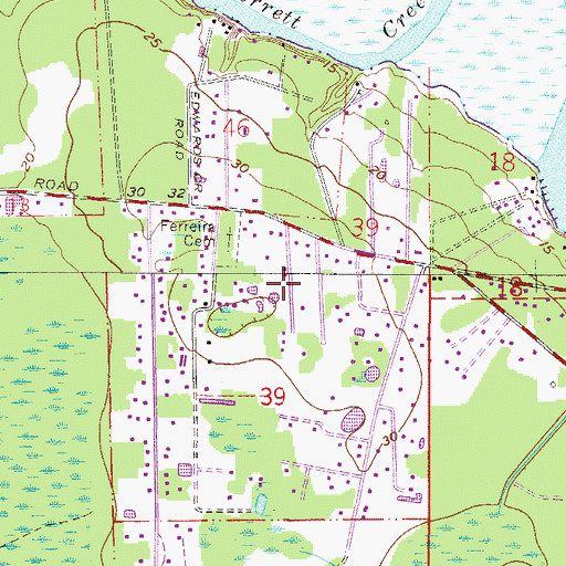 Topographic Map of F M Arredondo Grant, FL