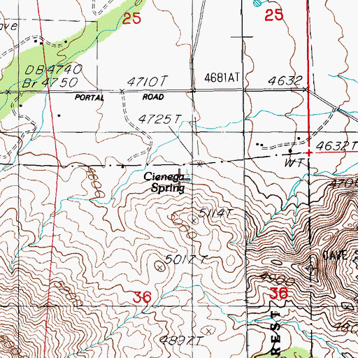 Topographic Map of Cienega Spring, AZ