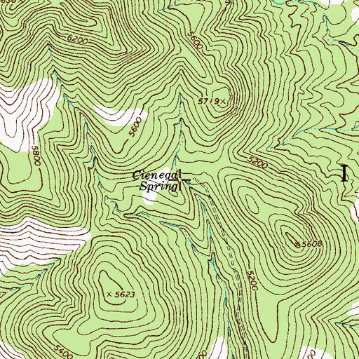 Topographic Map of Cienega Spring, AZ