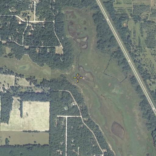 Aerial/Satellite Image of Long Pond, FL
