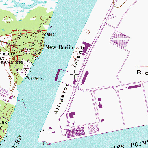 Topographic Map of Alligator Island, FL
