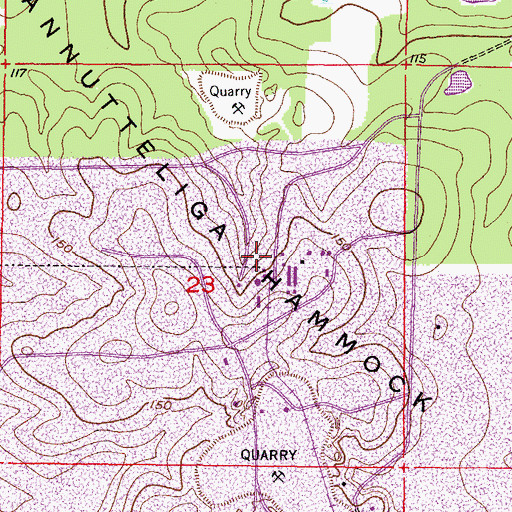 Topographic Map of Annutteliga Hammock, FL