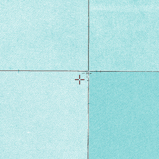 Topographic Map of Lake Apopka, FL