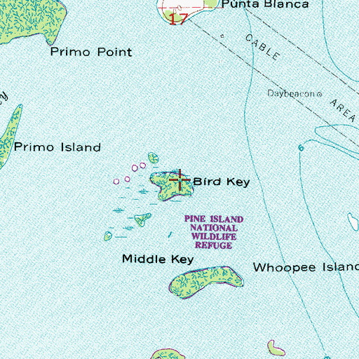 Topographic Map of Bird Key, FL