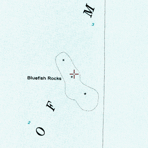 Topographic Map of Bluefish Rocks, FL