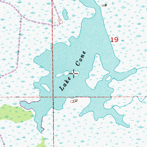 Topographic Map of Lake Cone, FL