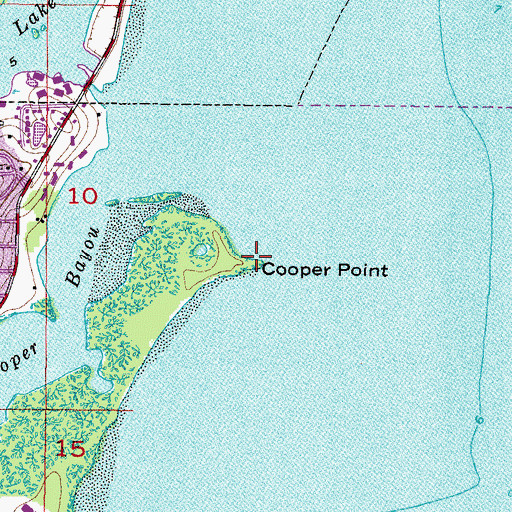 Topographic Map of Cooper Point, FL