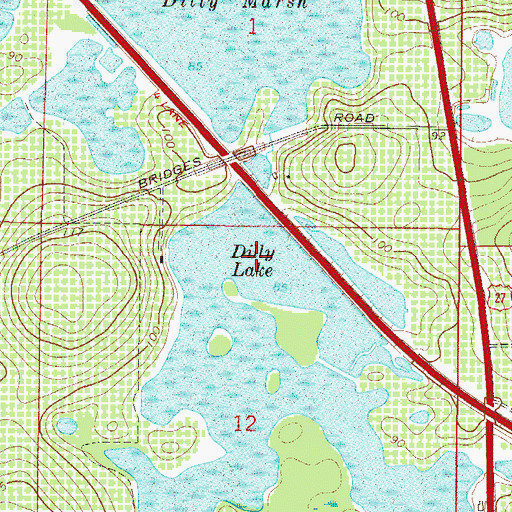 Topographic Map of Dilly Lake, FL