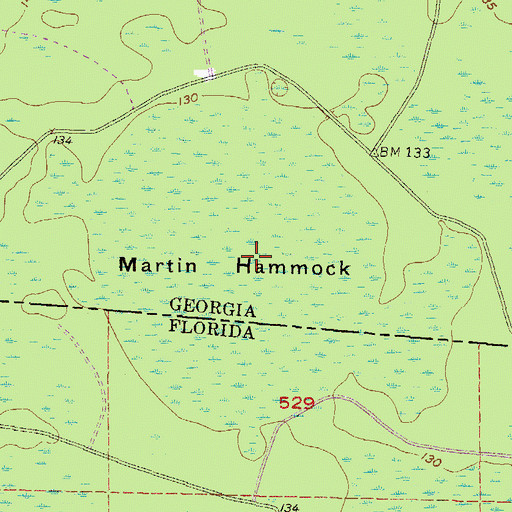 Topographic Map of Martin Hammock, GA
