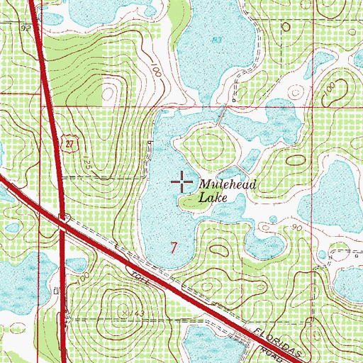 Topographic Map of Mulehead Lake, FL