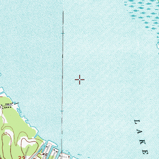 Topographic Map of Lake Panasoffkee, FL