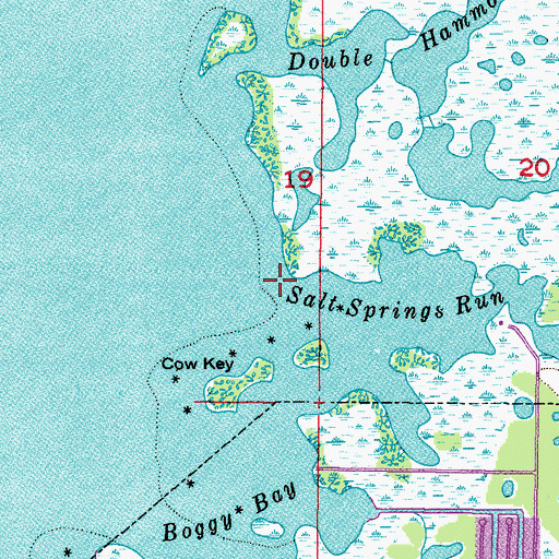 Topographic Map of Salt Springs Run, FL