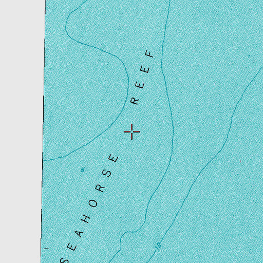 Topographic Map of Seahorse Reef, FL