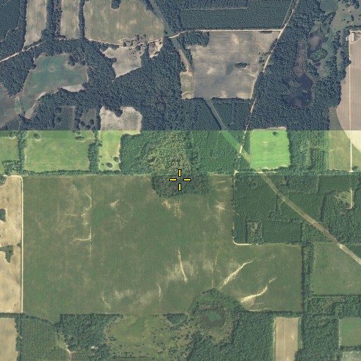 Aerial/Satellite Image of Still Pond, FL