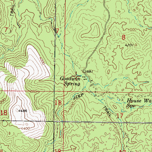 Topographic Map of Goodwin Spring, AZ