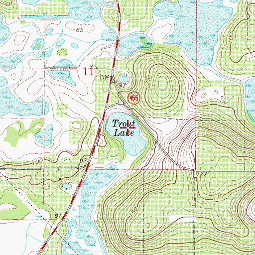 Topographic Map of Trout Lake, FL