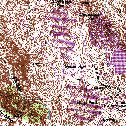 Topographic Map of Goose Spring, AZ