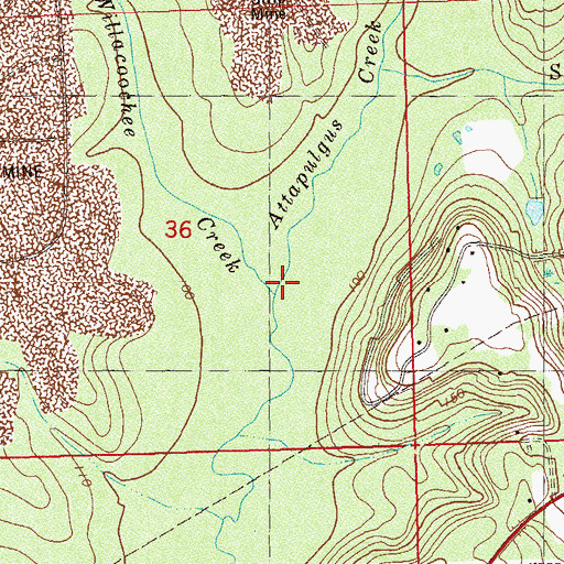 Topographic Map of Willacoochee Creek, FL