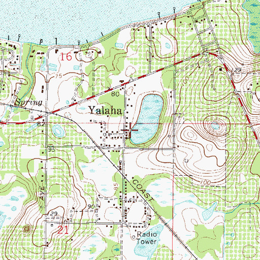 Topographic Map of Yalaha, FL