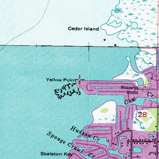 Topographic Map of Yellow Point, FL