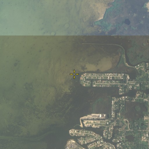 Aerial/Satellite Image of Yellow Point, FL