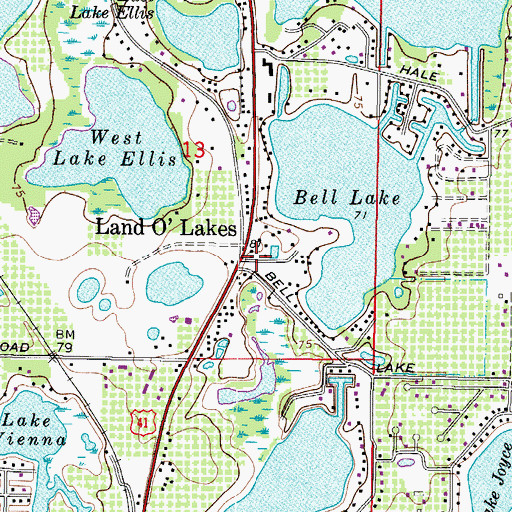 Topographic Map of Land O' Lakes, FL