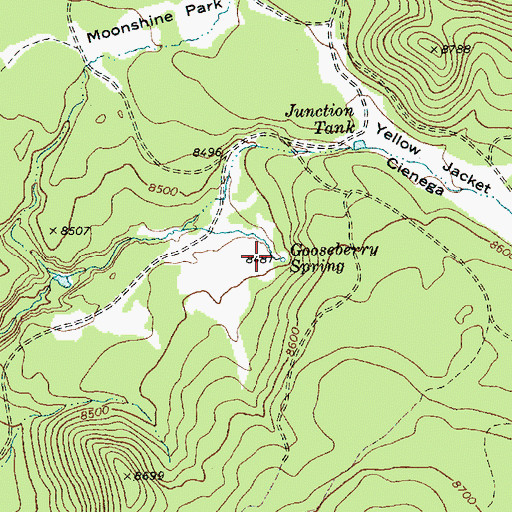 Topographic Map of Gooseberry Spring, AZ