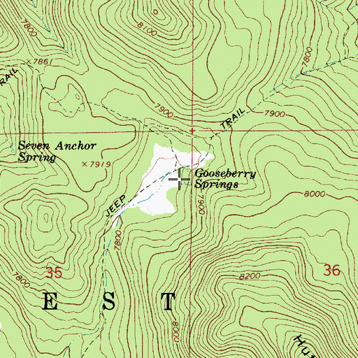 Topographic Map of Gooseberry Springs, AZ