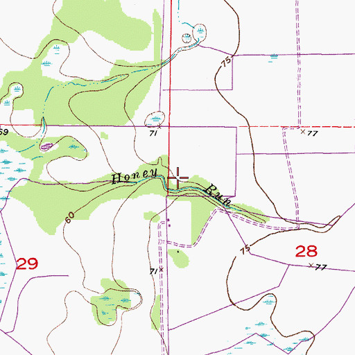 Topographic Map of Honey Run, FL