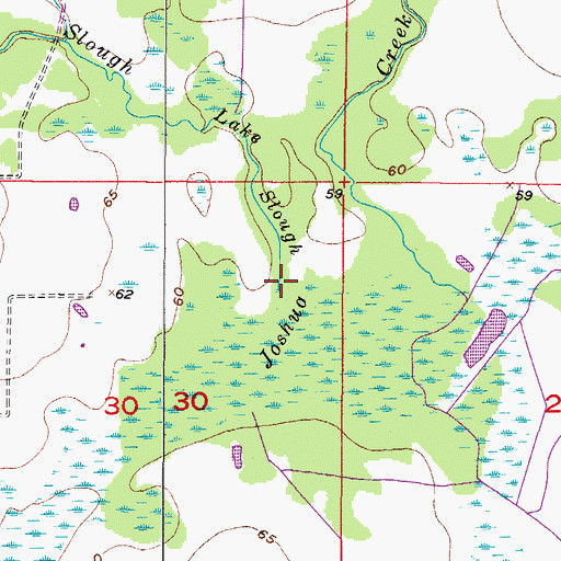 Topographic Map of Lake Slough, FL