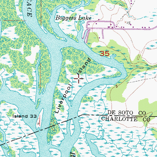 Topographic Map of Liverpool Island, FL