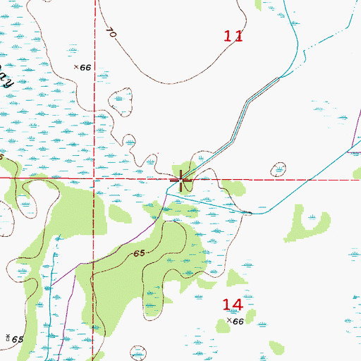 Topographic Map of Mossy Gully, FL