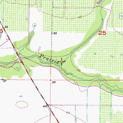Topographic Map of Myrtle Slough, FL