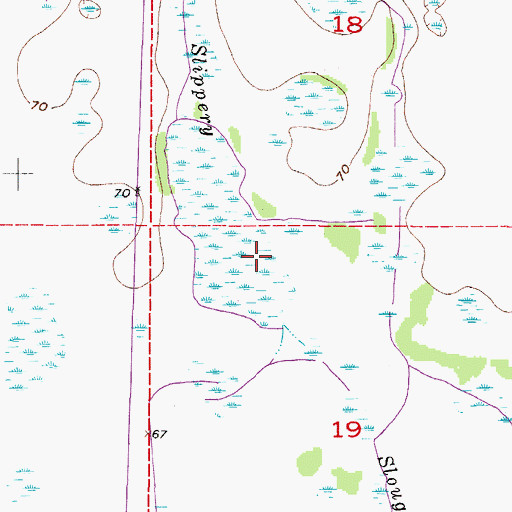 Topographic Map of Slippery Slough, FL