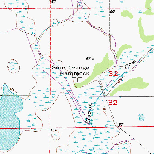 Topographic Map of Sour Orange Hammock, FL